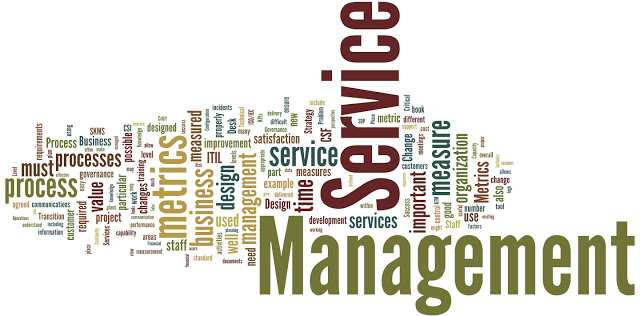 Management Services